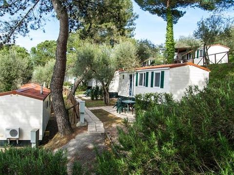 MOBILHOME 4 personnes - SUPERIOR