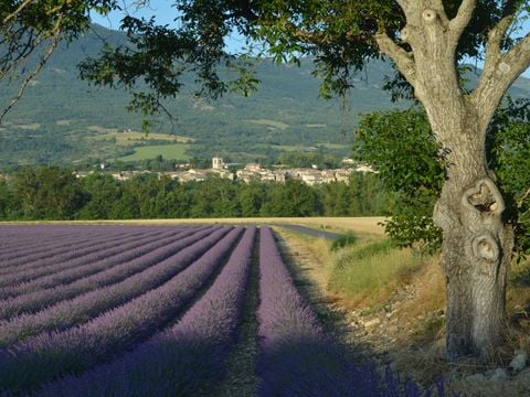 Camping Ushuaïa Villages Les Myotis - Camping Hautes-Alpes - Image N°9