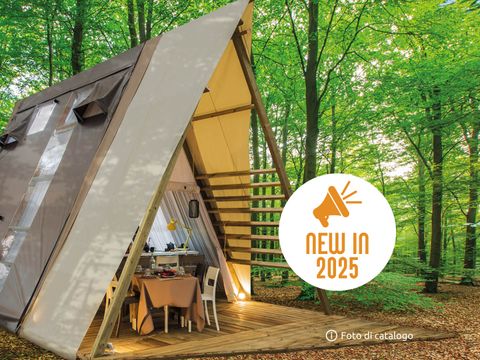 LODGE 4 personnes - Luxury Lodge Tent