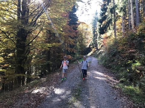 Kleinenzhof Family Resort - Camping Baden-Wurtemberg