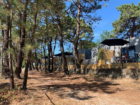 BUNGALOW 2 personnes - SUITE MARISMA