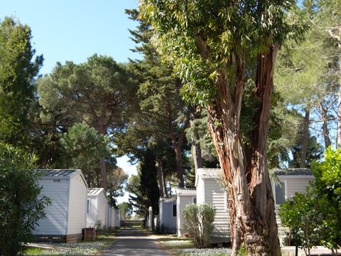 MOBILHOME 4 personnes - SUNÊLIA CONFORT PINÈDE