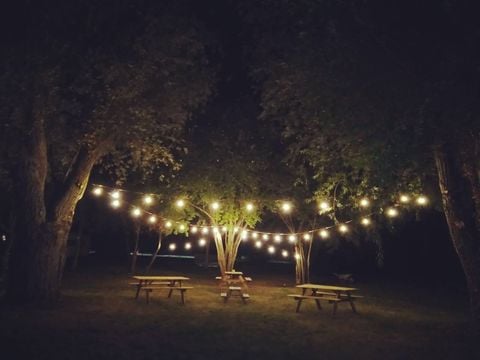 Camping Ile d'Amour - Camping Yonne