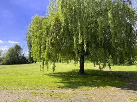 Camping Ile d'Amour - Camping Yonne - Image N°3