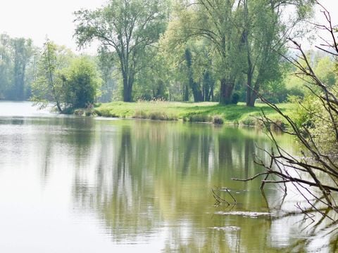Camping Ile d'Amour - Camping Yonne - Image N°4
