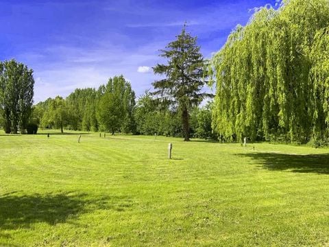 Camping Ile d'Amour - Camping Yonne - Image N°9