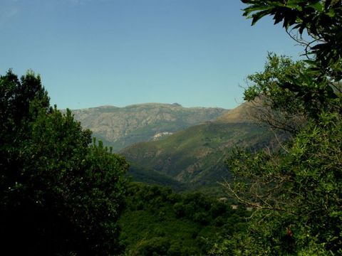 Camping Domaine Petra Pinzuta - Camping Corse du nord - Image N°8