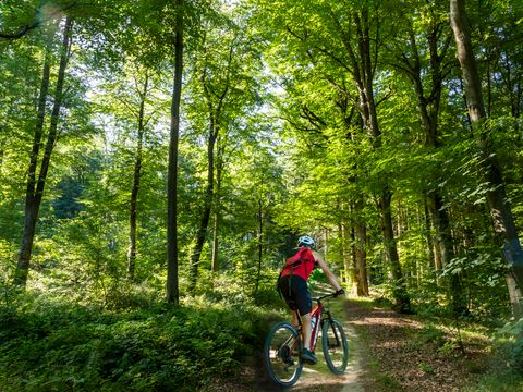 Hu Birkelt Village Hu Birkelt Village - Camping Luxembourg - Image N°28