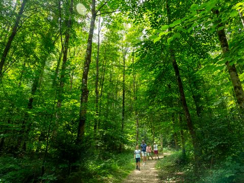 Hu Birkelt Village Hu Birkelt Village - Camping Luxembourg - Image N°27