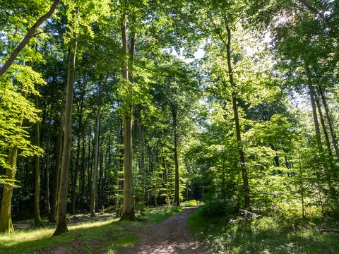 Hu Birkelt Village Hu Birkelt Village - Camping Luxembourg - Image N°29