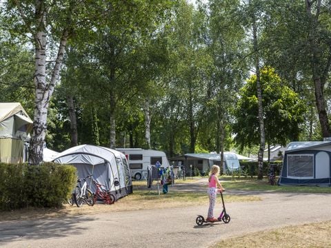 Hu Birkelt Village Hu Birkelt Village - Camping Luxembourg - Image N°32