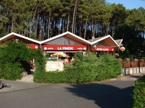 Les Cottages de Leon - Camping Landes - Image N°5