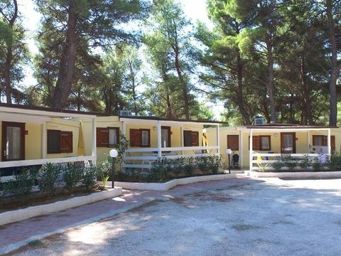 CHALET 4 personnes - TV