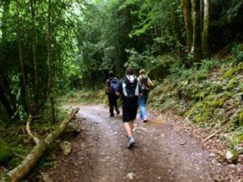 Camping La Soleia d'Oix - Camping Girona - Afbeelding N°31
