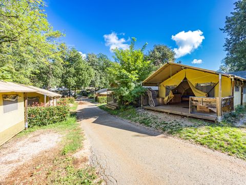 TENTE TOILE ET BOIS 5 personnes - Aminess Maravea - Safari tent Lodge (5P)