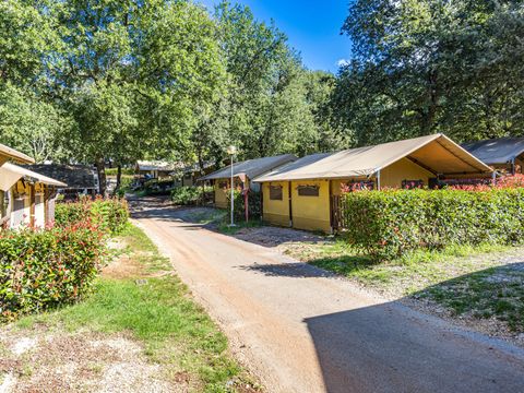 TENTE TOILE ET BOIS 5 personnes - Aminess Maravea - Safari tent Lodge (5P)
