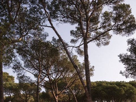 Tente en toile et en bois 2 personnes - Bell Tent Plus