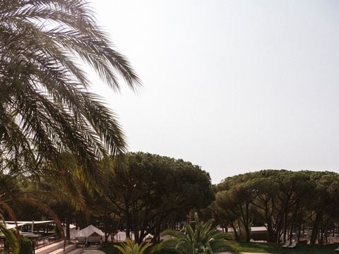 WeCamp Cala Montgo - Camping Girona