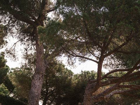 WeCamp Cala Montgo - Camping Gérone - Image N°36