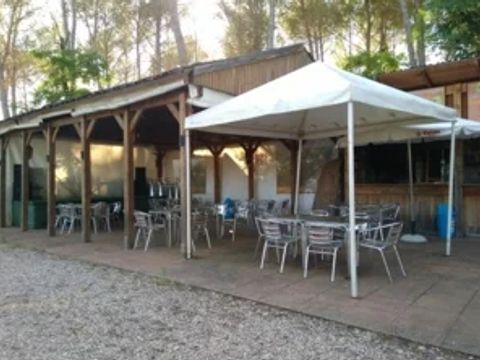 CAMPING SACEDON - Camping Guadalajara - Image N°7