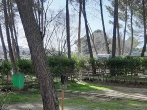 CAMPING SACEDON - Camping Guadalajara - Image N°2