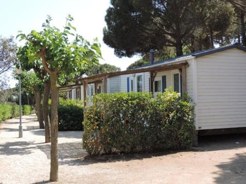 Camping El Carlitos - Camping Barcelone - Image N°16