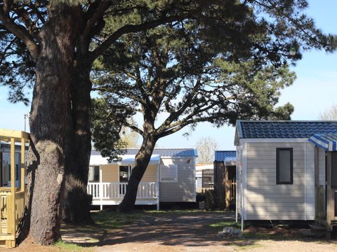 Camping Paradis Domaine Oyat - Camping Vendée - Image N°40