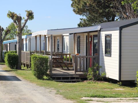 Camping Paradis Domaine Oyat - Camping Vendée - Image N°10