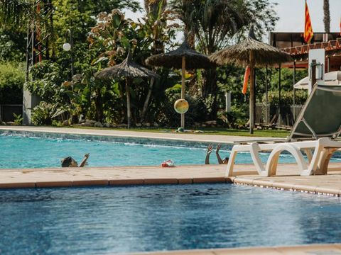 Camping Caledonia - Camping Tarragone - Image N°10