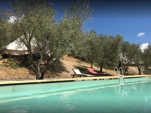Camping The Lazy Olive Glamping - Camping Pise - Image N°2