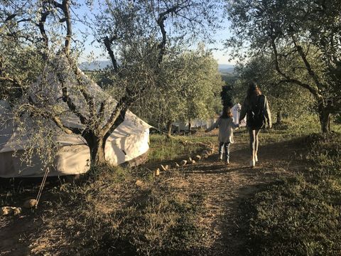 Camping The Lazy Olive Glamping - Camping Pise - Image N°9