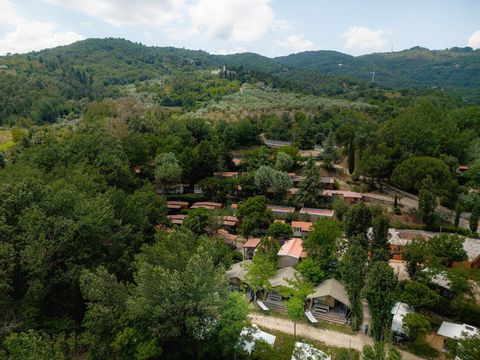 Camping Village Il Poggetto - Camping Florence - Image N°89