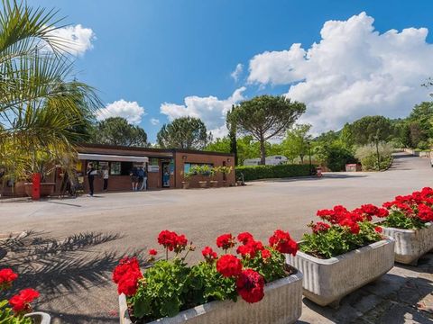 Camping Village Il Poggetto - Camping Florence - Image N°45