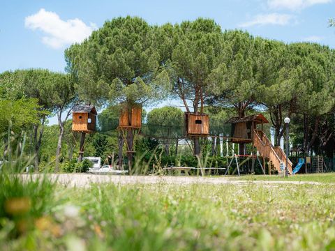 Camping Village Il Poggetto - Camping Florence - Image N°87