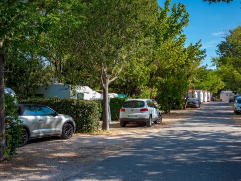 Camping Paradis  La Pinède - Camping Alpes-de-Haute-Provence - Image N°12