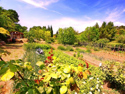 Camping Sites et Paysages - La Pinède - Camping Aude - Image N°46