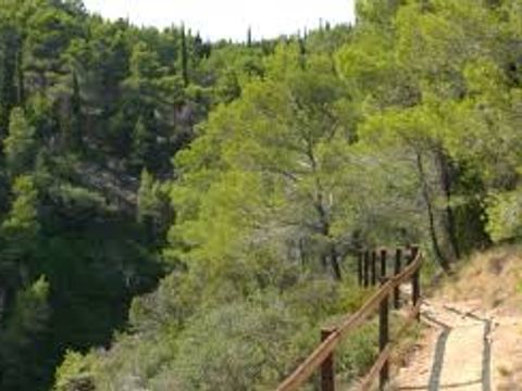 Camping Sites et Paysages - La Pinède - Camping Aude - Image N°28