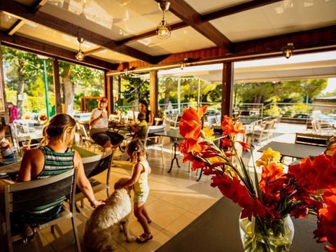 Camping Sites et Paysages - La Pinède - Camping Aude