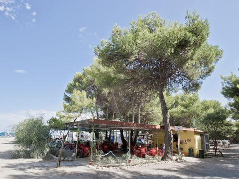 Camping Pineta di Sibari  - Camping Cosenza - Image N°4