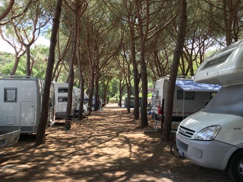 Emplacement - Emplacement COMFORT pour Caravane, Camping Car
