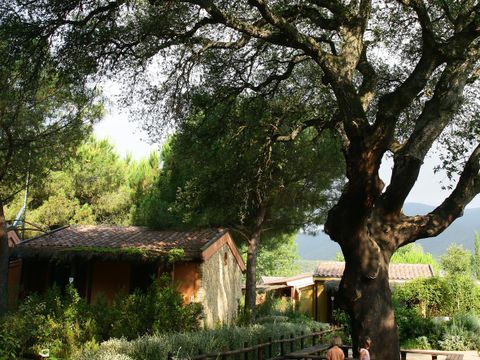 Camping Village Rocchette - Camping Grosseto - Image N°39