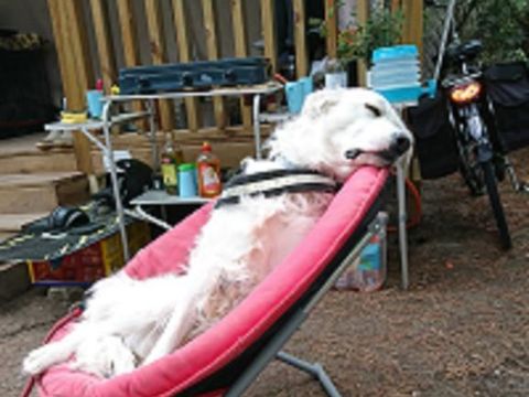 TENTE TOILE ET BOIS 2 personnes - Mini Lodge - sans sanitaire