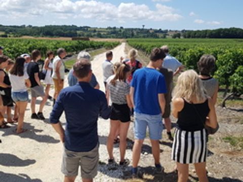 Camping Chez Gendron - Camping Gironde - Image N°14