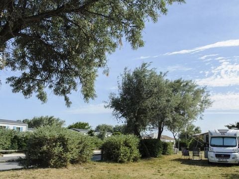 Camping La Brise - Camping Bouches-du-Rhône - Image N°0