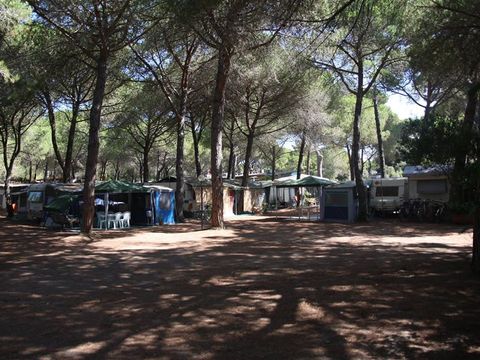 Emplacement - Tente 2/3 places