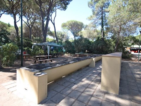 Camping Village Il Sole - Camping Grosseto - Image N°19