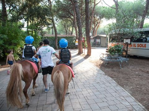 Camping Village Il Sole - Camping Grosseto - Image N°12