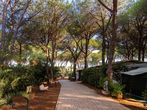 Camping Village Il Sole - Camping Grosseto - Image N°29
