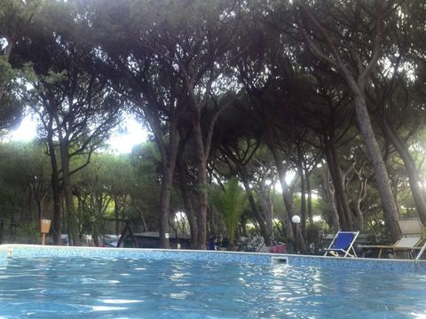 Camping Village Il Sole - Camping Grosseto - Image N°4
