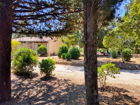 VVF Villages - Les Cigales du Gard - Méjannes le Clap - Camping Gard - Image N°2